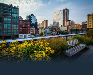 Generic placeholder thumbnail