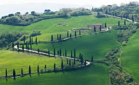 Generic placeholder thumbnail